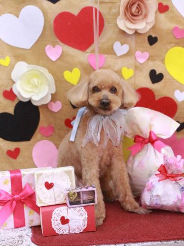 20230228かおるくん